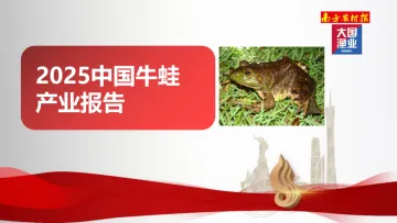 2025中国牛蛙产业报告-南方农村报社 听光Vic