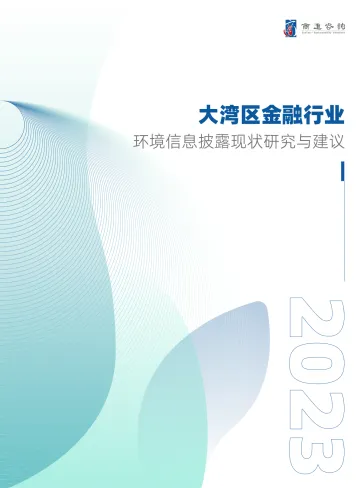 大湾区金融行业环境信息披露现状研究与建议(2023)-35页-WN10