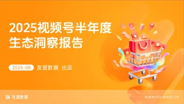 2025视频号半年度生态洞察报告-友望数据 听光Vic
