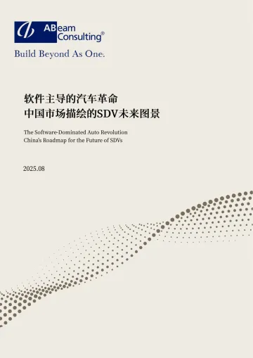 软件主导的汽车革命:中国市场描绘的SDV未来图景-德硕管理咨询(上海) 听光Vic
