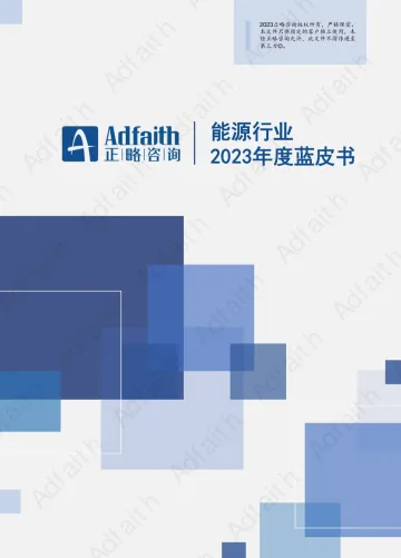 正略咨询-2023能源行业年度蓝皮书-2023.10-68页-WN10
