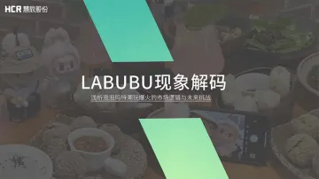 Labubu现象解码:浅析泡泡玛特潮玩爆火的市场逻辑与未来挑战-HCR慧辰股份 听光Vic