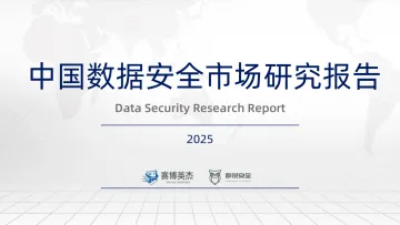 2025中国数据安全市场研究报告 听光Vic 