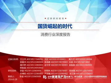 申万宏源-消费行业深度报告:国货崛起的时代_1