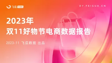 2023年双11好物节电商数据报告-44页-WN11