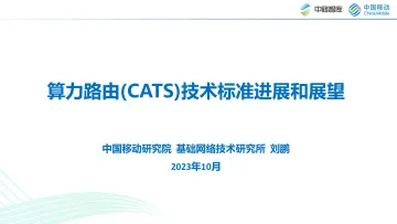 刘鹏:算力路由(CATS)技术标准进展和展望-25页-WN10