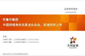 玩具:布鲁可集团-中国拼搭角色玩具龙头企业,拟港交所上市-天风证券听光Vic_1