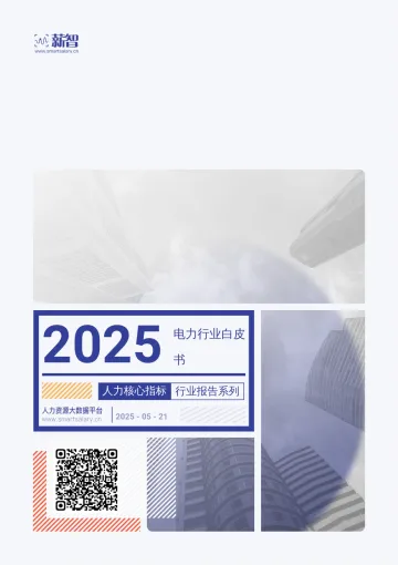 2025电力行业白皮书-薪智 听光Vic