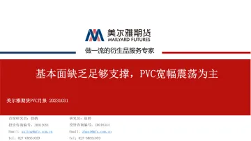 PVC月报:基本面缺乏足够支撑,PVC宽幅震荡为主-20231031-美尔雅期货-21页