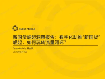 QuestMobile2020新国货崛起洞察报告