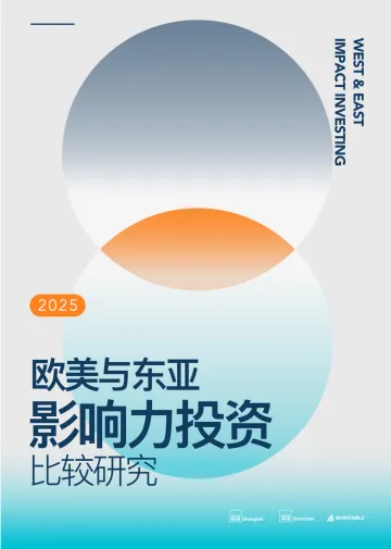 2025欧美与东亚影响力投资比较研究报告-Makeable 听光Vic_1