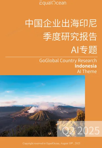 2025中国AI企业出海系列研究:印尼篇 听光Vic