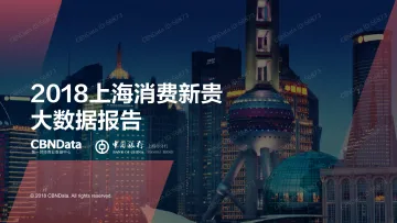 2018上海消费新贵大数据洞察