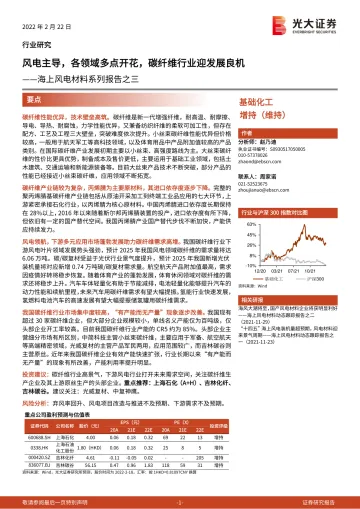 基础化工行业海上风电材料系列报告之三:风电主导,各领域多点开花,碳纤维行业迎发展良机-20220222-光大证券-49页