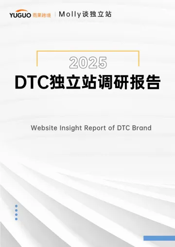 雨果跨境-2025DTC独立站调研报告_1