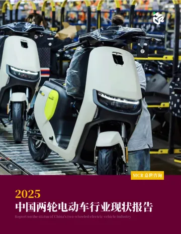 2025中国两轮电动车行业现状报告-上海嘉世营销咨询 听光Vic