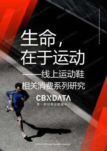 生命在于运动-线上运动鞋相关消费系列研究