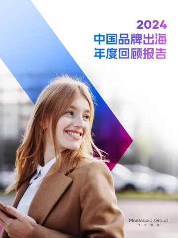 2024中国品牌出海年度回顾报告-飞书深诺 听光Vic_1