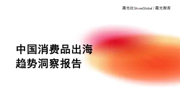 2024中国消费品出海趋势洞察报告-霞光智库 听光Vic_1