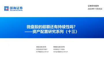 资产配置研究系列(十三):微盘股的超额还有持续性吗?-20231105-国海证券-34页