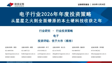 电子行业2026年年度投资策略：从星星之火到全面燎原的本土硬科技收获之年-国信证券