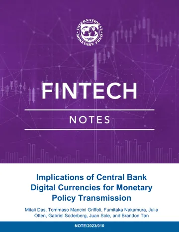 国际货币基金组织(IMF):央行数字货币(CBDC)对货币政策传导的影响2024_1