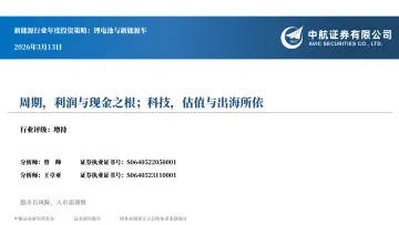 新能源行业年度投资策略:锂电池与新能源车:周期、利润与现金之根;科技,估值与出海所依-中航证券 听光Vic_1