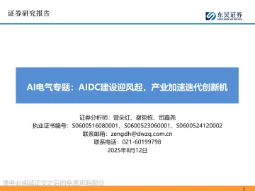 AI电气专题： AIDC建设迎风起，产业加速迭代创新机-东吴证券 听光Vic