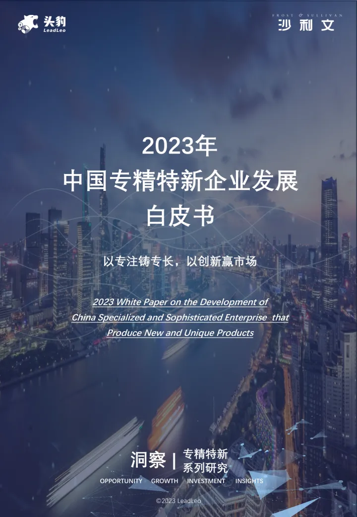2023年中国专精特新企业发展系列白皮书（上）-176页-WN10