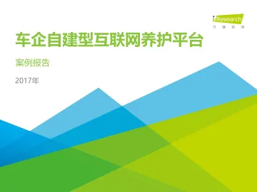 车企自建型互联网养护平台案例报告