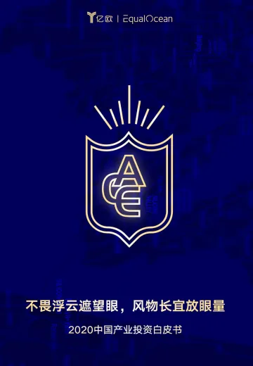 2020中国产业投资白皮书