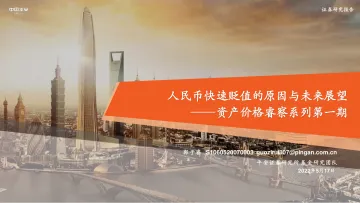 资产价格睿察系列第一期:人民币快速贬值的原因与未来展望-20220517-平安证券-22页