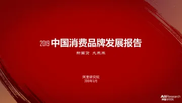 2019 中国消费品牌发展报告