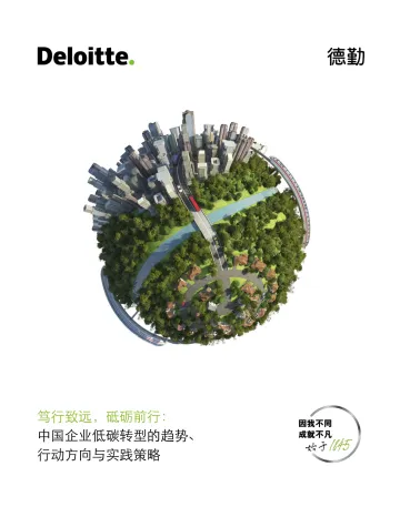 中国企业低碳转型的趋势、行动方向与实践策略-15页-WN11