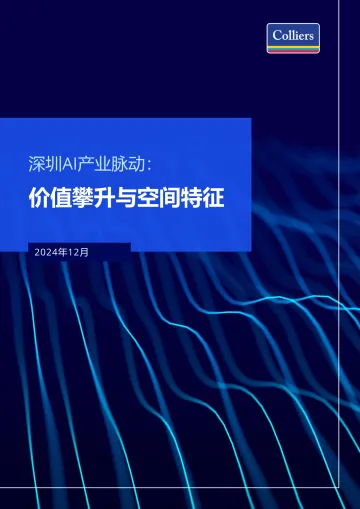 深圳AI产业脉动:价值攀升与空间特征-26页_1