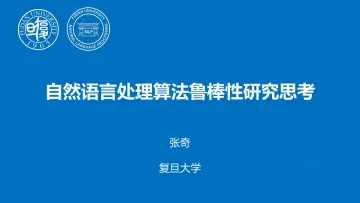 2023年自然语言处理算法鲁棒性研究思考报告-79页_1