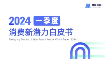 2024年一季度消费新潜力白皮书-魔镜洞察 听光Vic.pdf