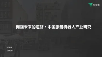 TE智库《刻画未来的道路:中国服务机器人产业研究报告》-43页-WN10
