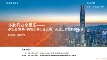多肽行业全景图:多功能GLP_1药物引领行业发展,关注上游原料药板块-20231107-平安证券-29页