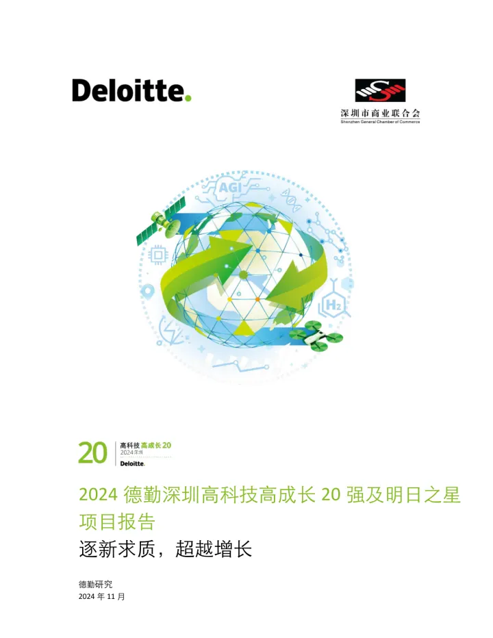 2024 德勤深圳高科技高成长20 强及明日之星项目报告-2024.12-24页_1