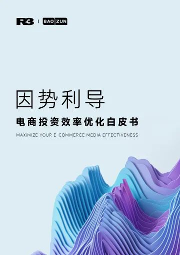 《因势利导 电商投资效率优化白皮书》