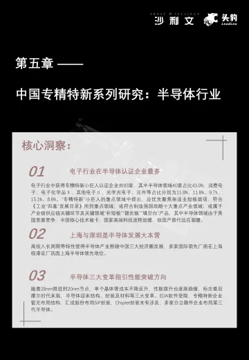 2023年中国专精特新企业发展系列白皮书(中)-145页-WN10