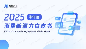 2025半年度消费新潜力白皮书-魔镜洞察 听光Vic