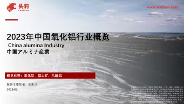 2023年中国氧化铝行业概览(摘要版)-头豹 听光vic