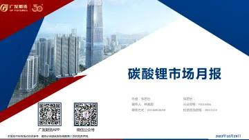 碳酸锂市场月报-20231029-广发期货-26页