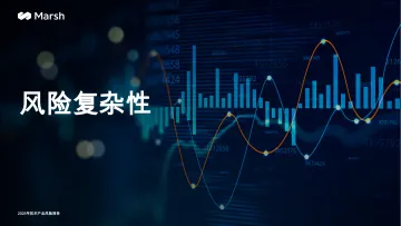 科技行业2025年技术产业风险报告:风险的复杂性-威达信 听光VIc