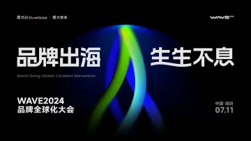 2024中国消费品牌全球化趋势洞察报告-霞光智库