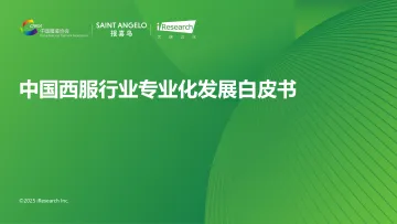 中国西服行业专业化发展白皮书-艾瑞咨询 听光Vic