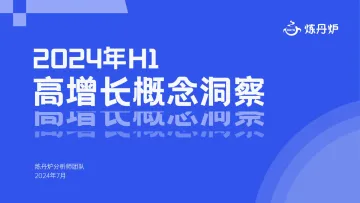 2024年H1高增长概念洞察报告-炼丹炉