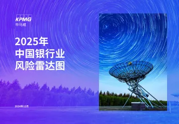 2025年银行业风险雷达图-16页_1
